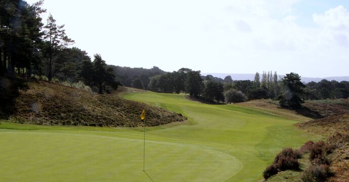 Parkstone, the 17th Green, Looking Back 